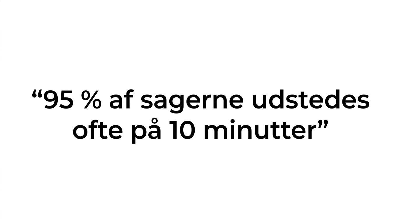 Citatfremhævning med budskabet om at 95 procent af sagerne ofte udstedes på 10 minutter.